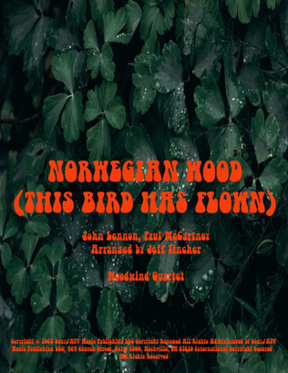 Book cover for Norwegian Wood (this Bird Has Flown)