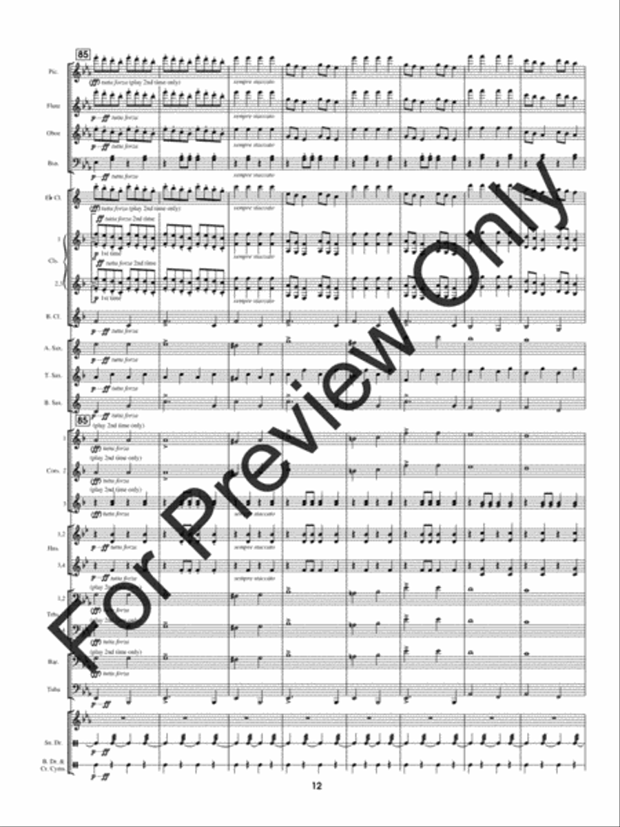 Pathfinder Of Panama Concert Band scores gallery preview page 15