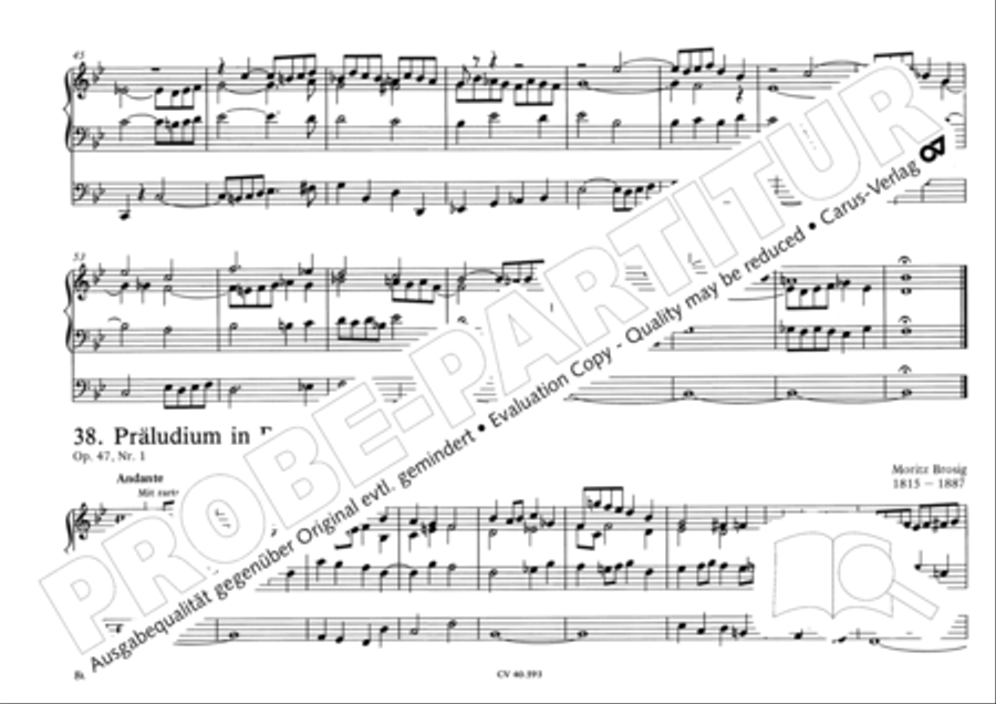 Free Organ Music from the Romantic Period, Vol. I (Freie Orgelmusik der Romantik, Band I) Organ scores gallery preview page 85