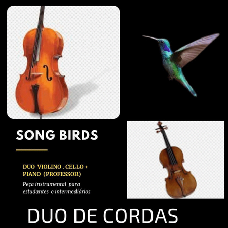 SONG BIRDS - Dueto Violino / Cello + Piano (Professor) image number null