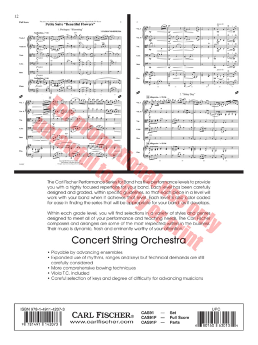 String Dreams String Orchestra scores gallery preview page 13