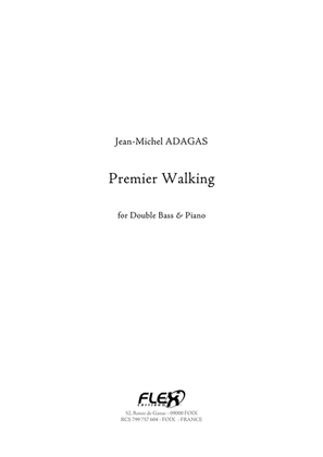 Book cover for Premier Walking