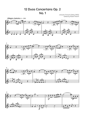 Gallay - 12 Duos Concertans Op. 2 No. 1 'Allegro Risoluto' (for Horn Duet)