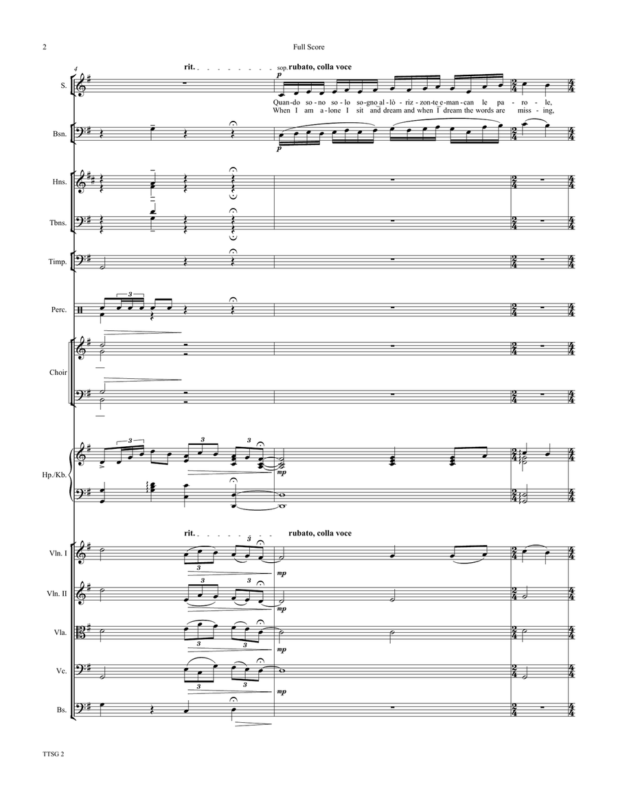 Time To Say Goodbye Chamber Orchestra scores gallery preview page 2