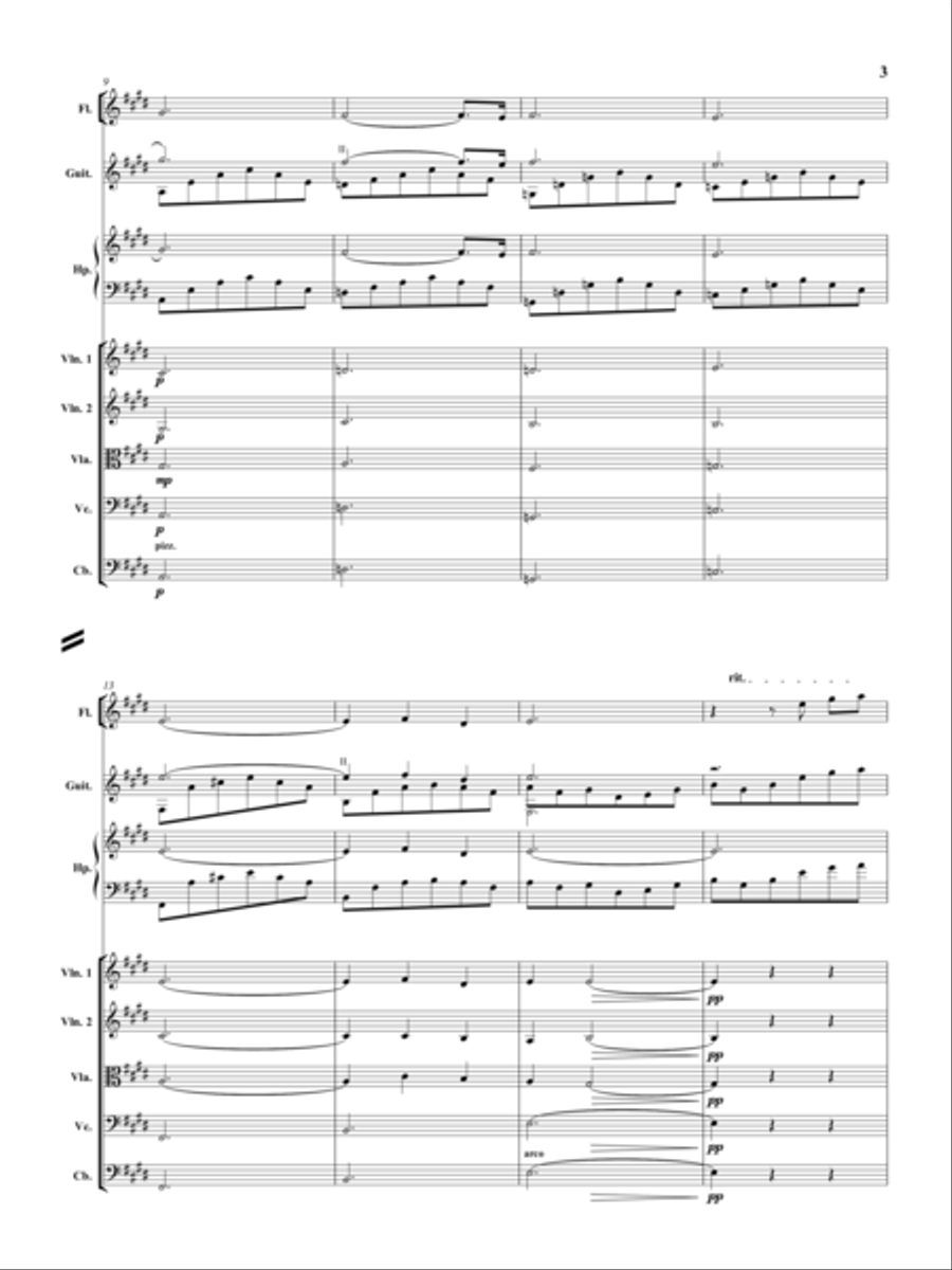 Cavatina Chamber Orchestra scores gallery preview page 4