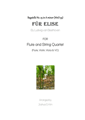 Fur Elise for Flute and String Quartet