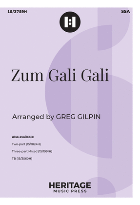 Book cover for Zum Gali Gali