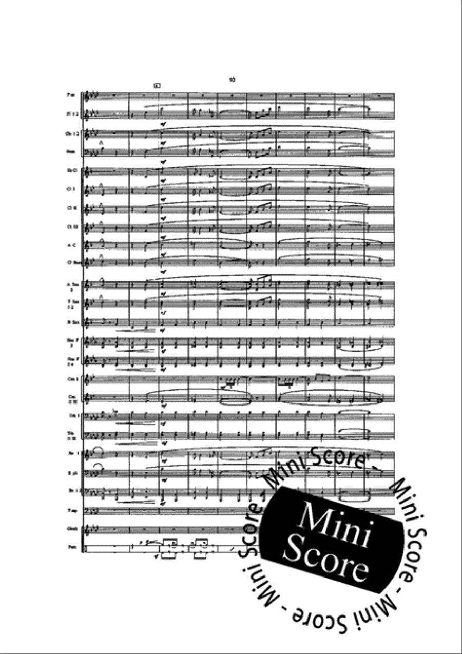 Custom House Custom House Concert Band scores gallery preview page 13