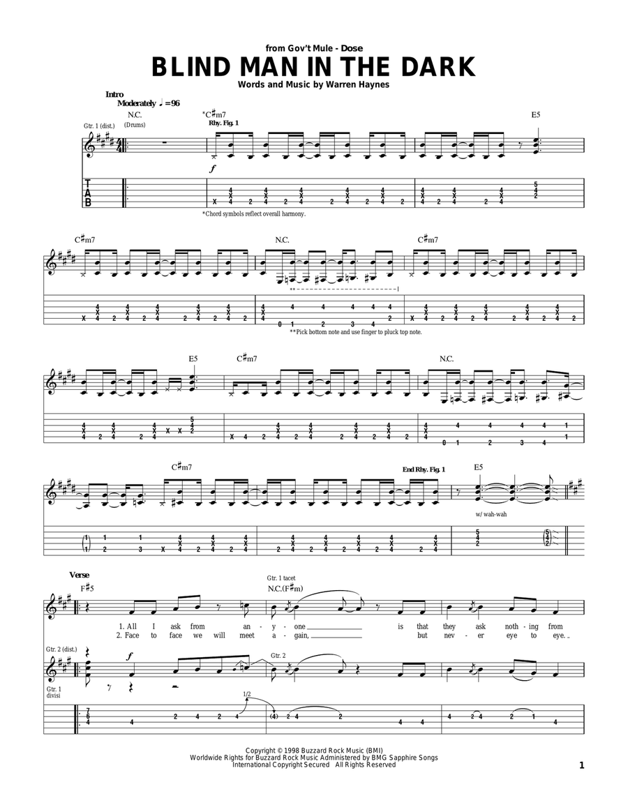 Blind Man In The Dark Blind Man In The Dark Guitar Tablature scores gallery preview page 1
