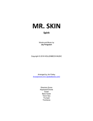 Book cover for Mr. Skin