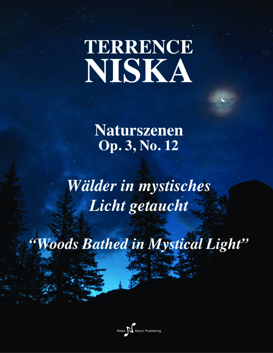 Naturszenen Op. 3, No. 12 "Wälder in mystisches Licht getaucht" image number null