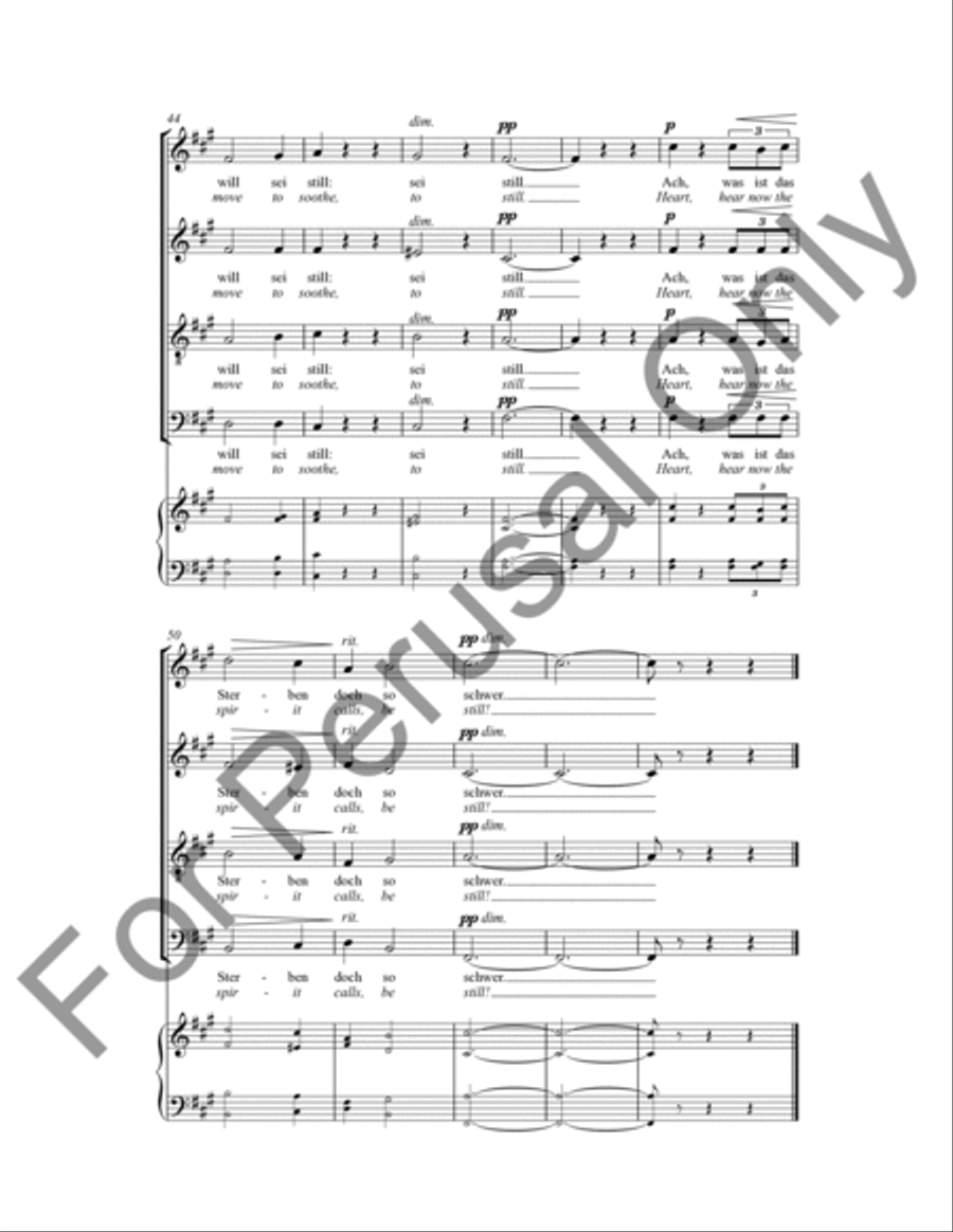 Into The Silent Night Into The Silent Night 4-Part scores gallery preview page 7