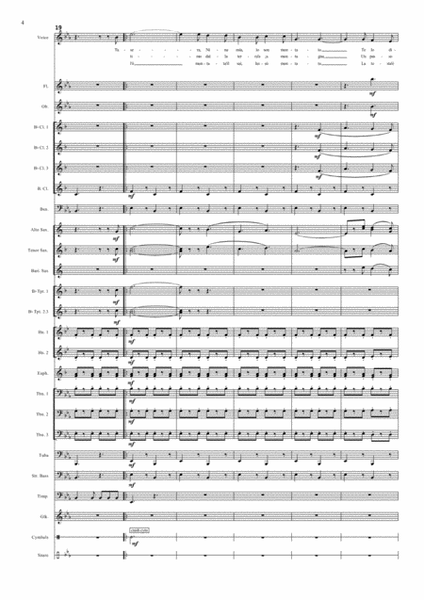 Funiculi Funicula (Luigi Denza) for solo voice and concert band