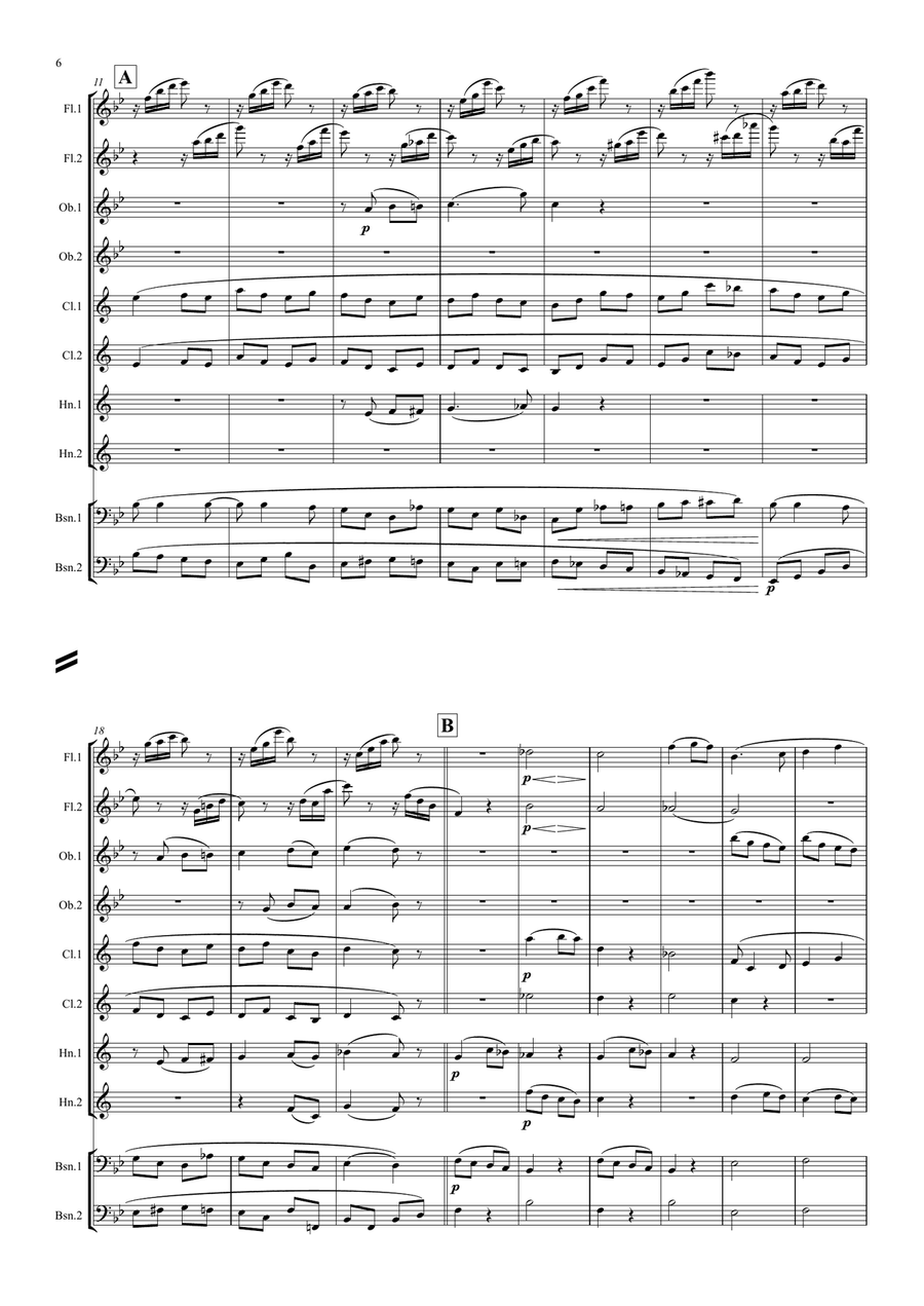 Brahms: Variations on a Theme by Haydn (St. Anthony Chorale) Op.56a (Theme & Variations 1-8) Woodwind Quintet scores gallery preview page 6