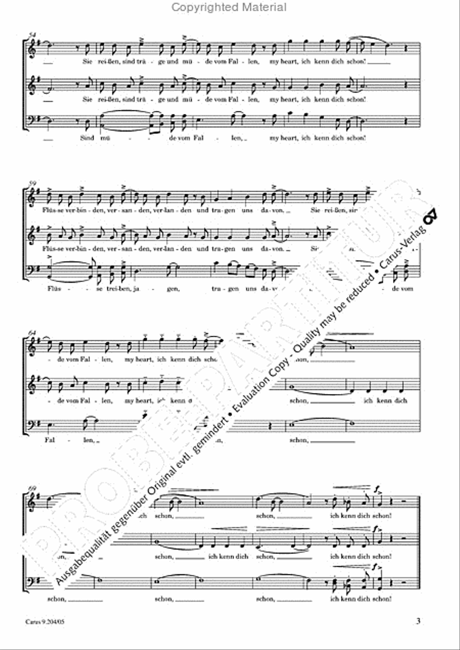 Flusse wie du 3-Part scores gallery preview page 4