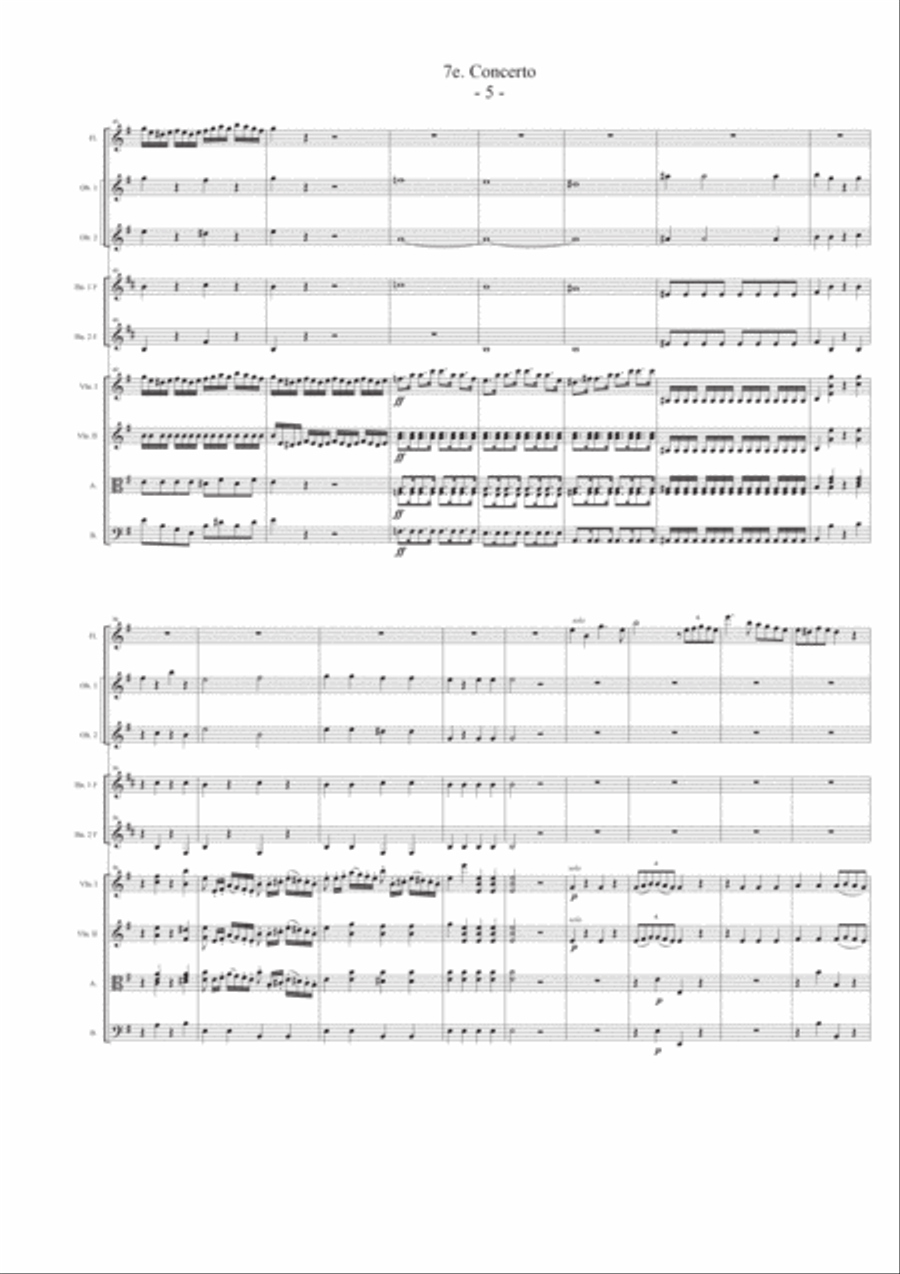 Flute Concerto Nr. 7 in e min. Chamber Orchestra scores gallery preview page 5