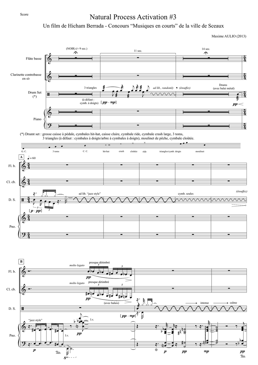 Natural Process Activation #3 BLOOM - for bass flute, contrabass clarinet, piano & drums Small Ensemble scores gallery preview page 2