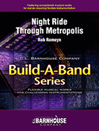 Night Ride Through Metropolis
