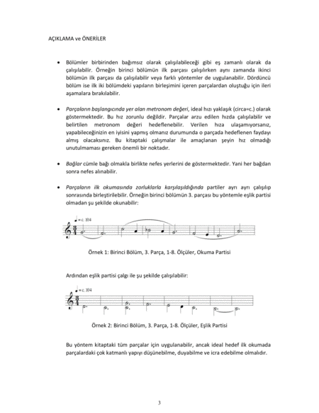 Play - Sing (Multi-dimensional Music Reading Studies)