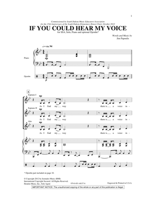 Book cover for If You Could Hear My Voice