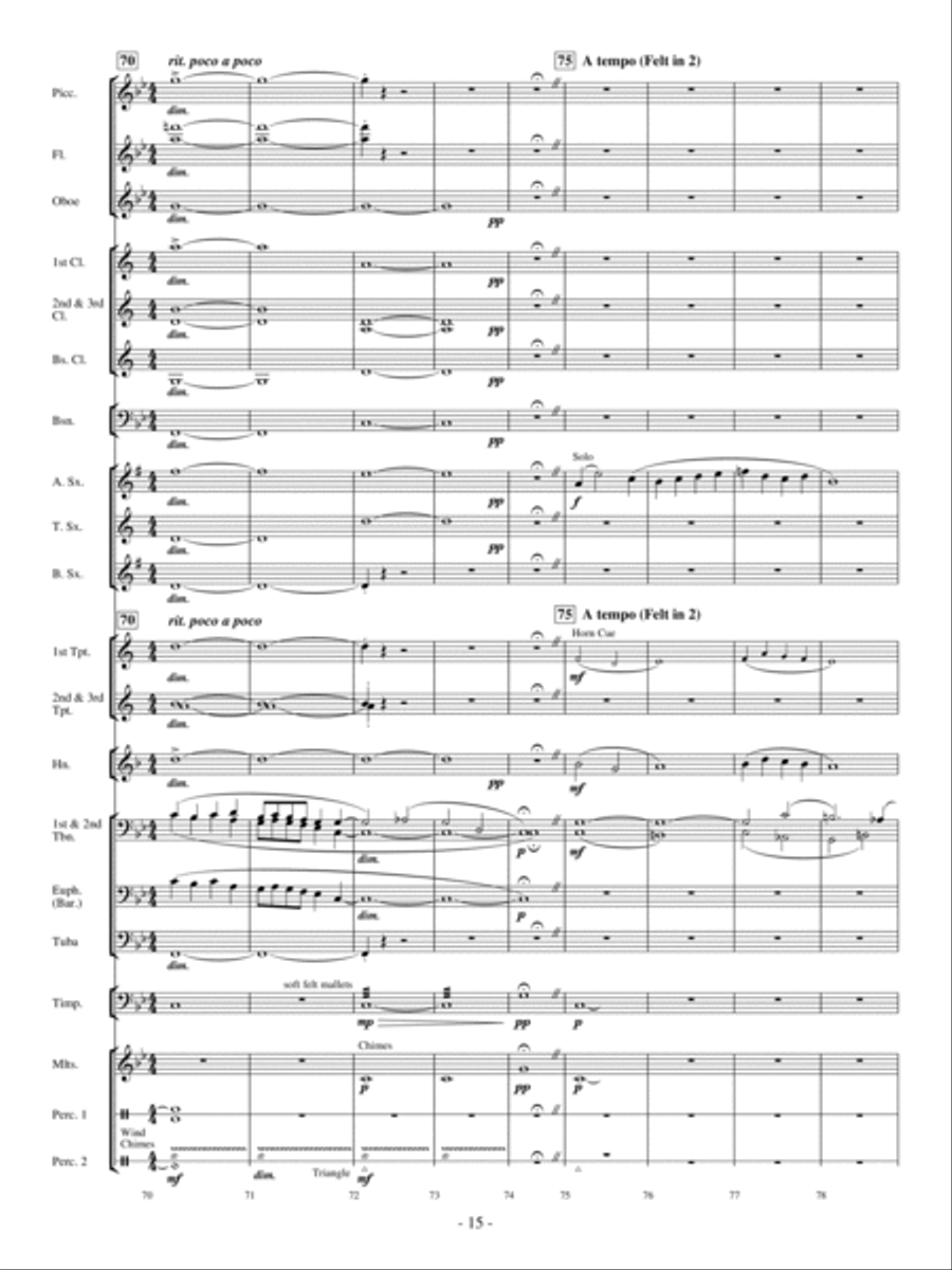 Amid the Great Displace Concert Band scores gallery preview page 14