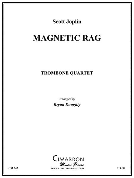Magnetic Rag