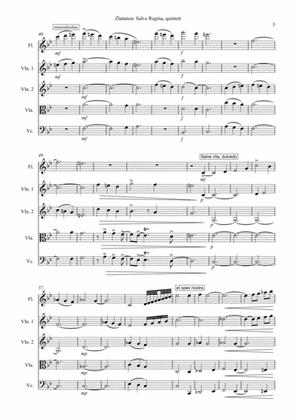 SALVE REGINA - Quintet for flute and Strings image number null