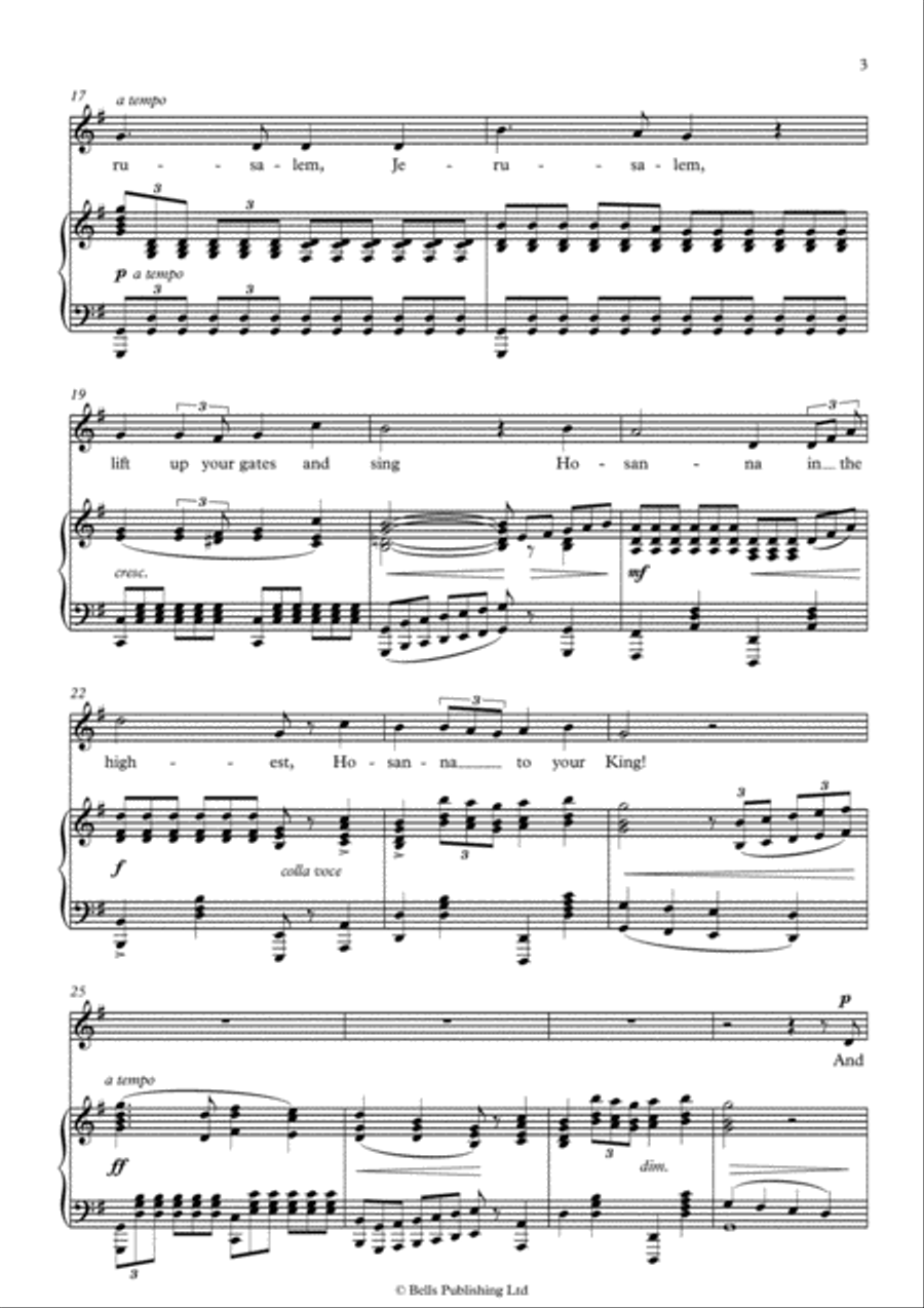 The Holy City (G Major) Voice Solo scores gallery preview page 3