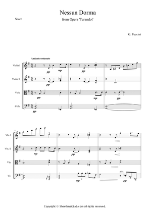 Book cover for Nessun Dorma (Opera Turandot aria)