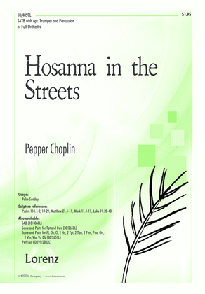 Book cover for Hosanna in the Streets
