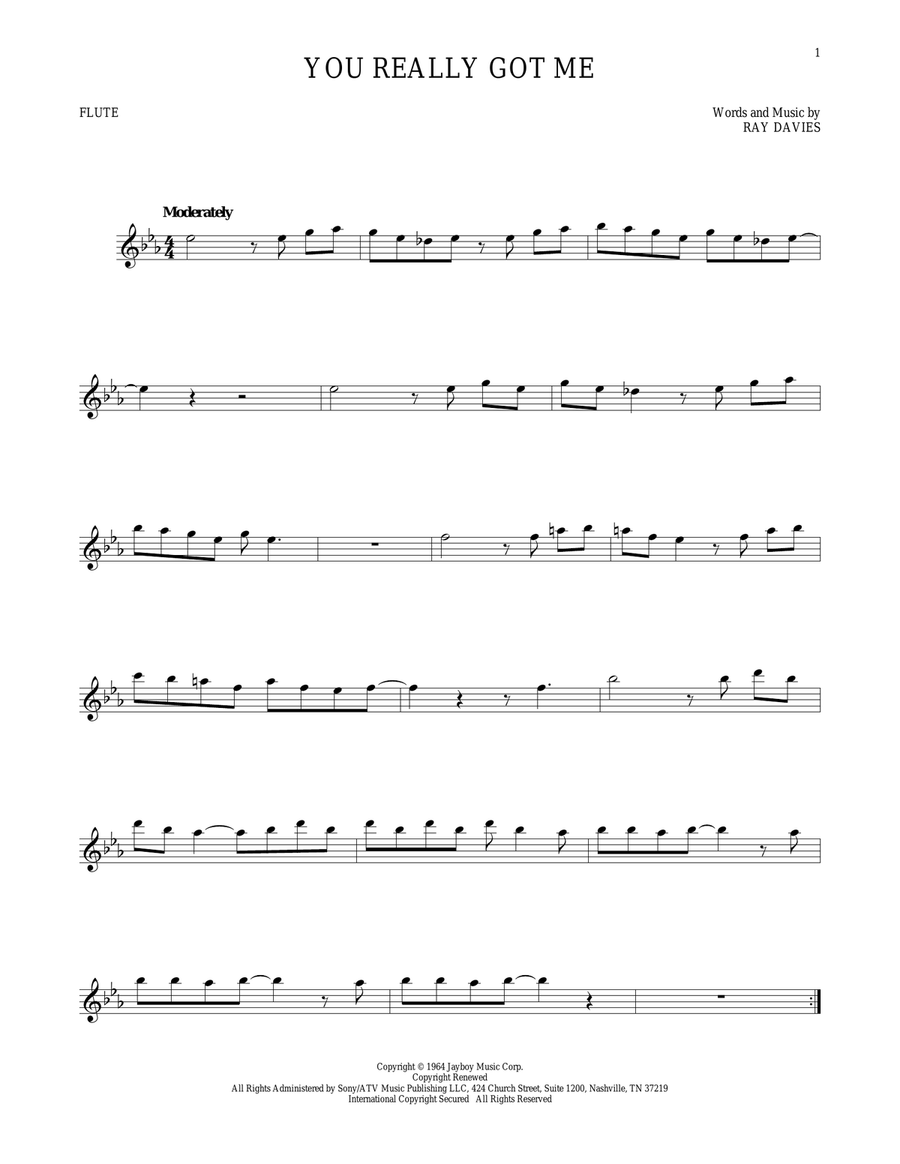 You Really Got Me Flute Solo scores gallery preview page 1
