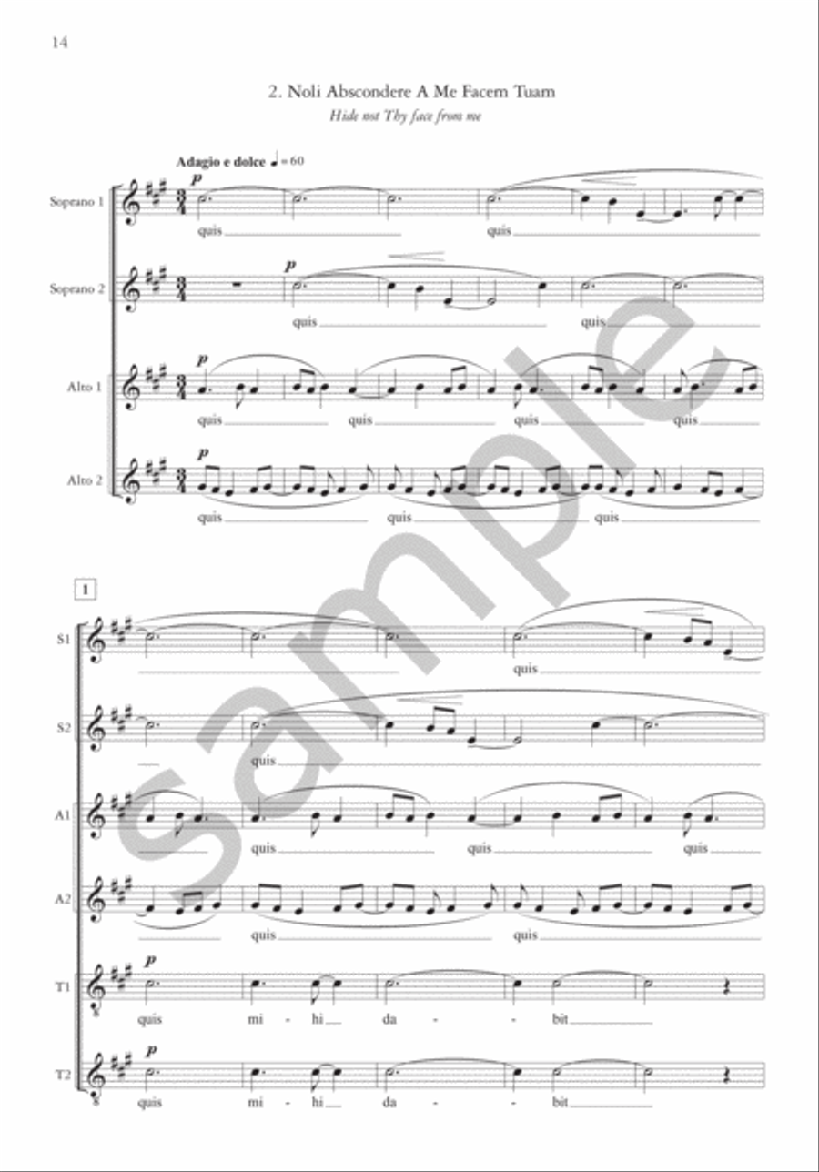 Canti Augustini (Saint Augustine Songs) for SSAATTBB Choir SSAATTBB scores gallery preview page 8
