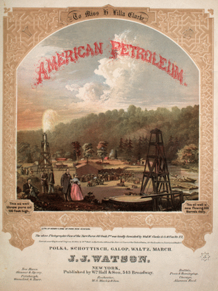 American Petroleum Polk
