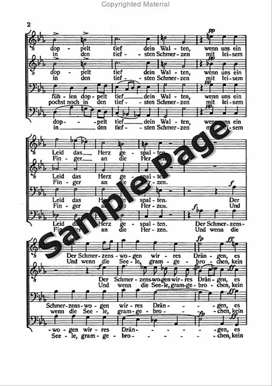 Bruckner Trosterin Musik(1877) Ttbb.chor TTBB scores gallery preview page 3