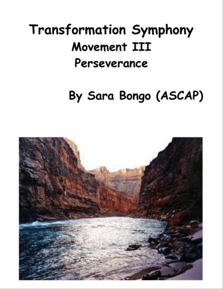 TRANSFORMATION SYMPHONY Movement III- PERSEVERANCE Chamber Orchestra scores gallery preview page 1
