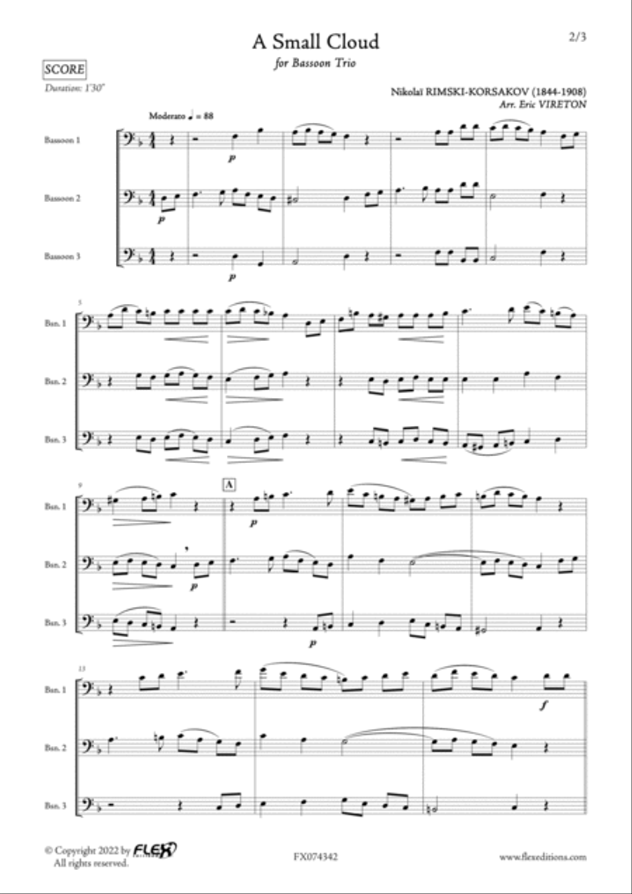 A Small Cloud Woodwind Trio scores gallery preview page 2