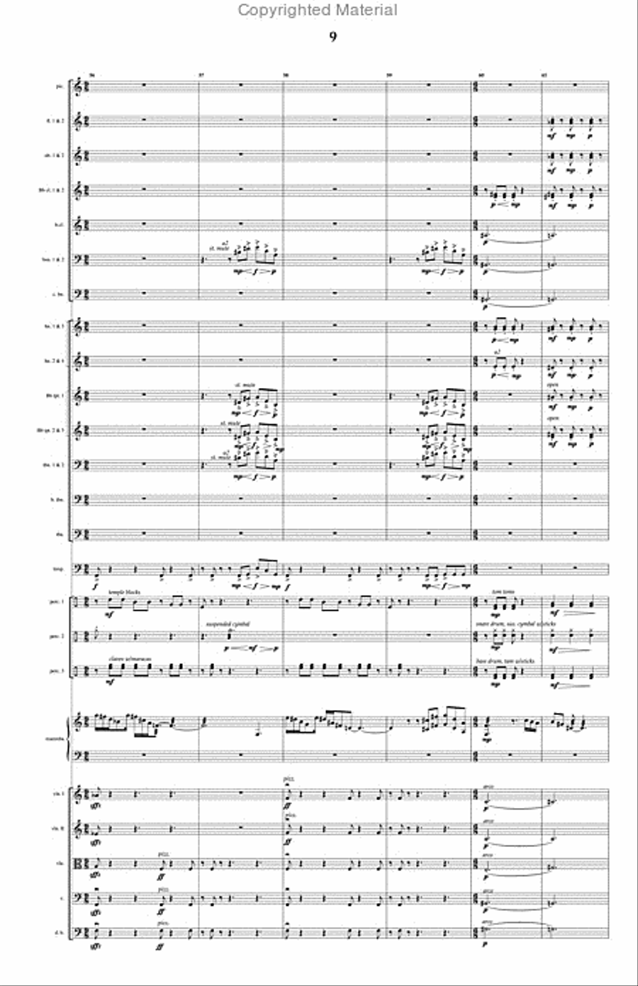 Rimbasly Rimbasly Full Orchestra scores gallery preview page 10