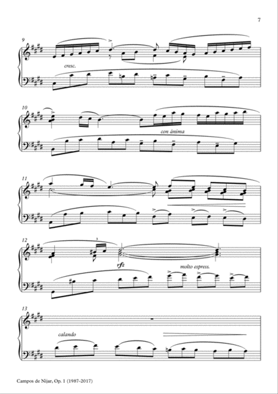 Campos de Níjar, Op.1 - II. La Fuensanta ('Al mediodía') (2017) Piano Solo scores gallery preview page 2