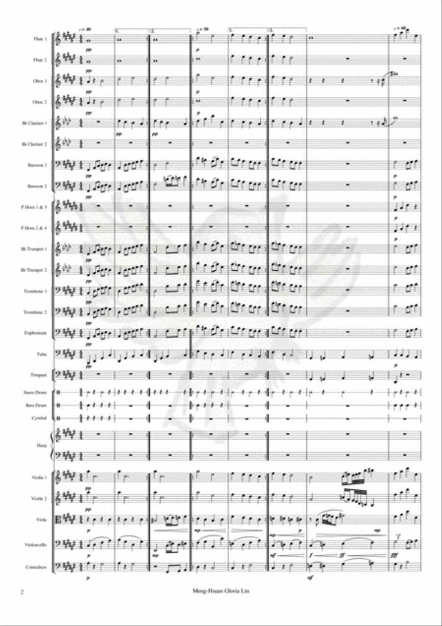 Greater Adria Symphonic Poem in F-sharp major Full Orchestra scores gallery preview page 2