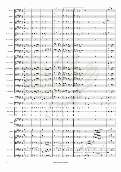 Greater Adria Symphonic Poem in F-sharp major image number null