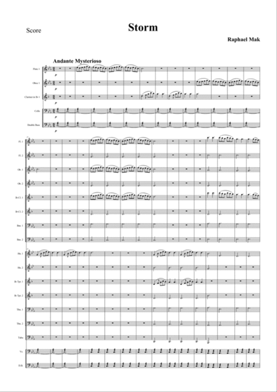 Storm, op. 3 Full Orchestra scores gallery preview page 3