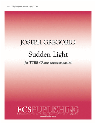 Book cover for Sudden Light