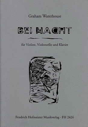Book cover for Bei Nacht