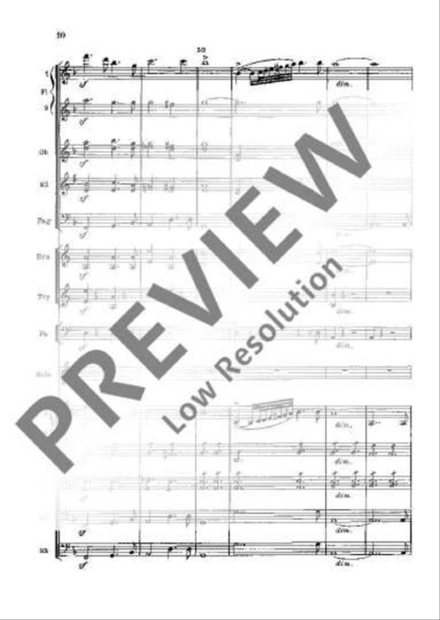 Concerto D Minor Orchestra scores gallery preview page 15