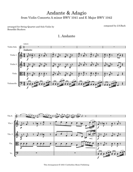 Andante and Adagio from J.S.Bach's Violin Concertos