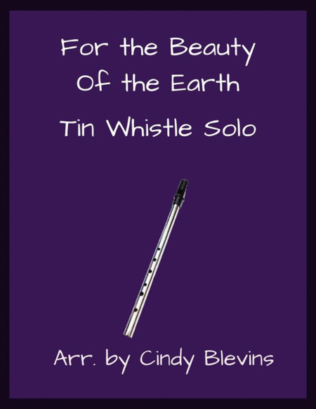 For the Beauty of the Earth, Solo Tin Whistle image number null
