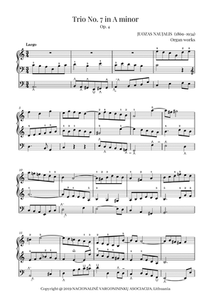 Trio No. 7 in A minor, Op. 4 by Juozas Naujalis (1869–1934)