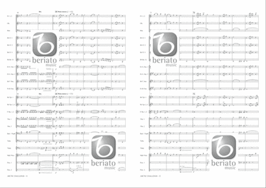 Arctic Challenge Concert Band scores gallery preview page 7