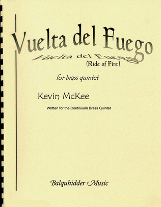 Book cover for Vuelta del Fuego
