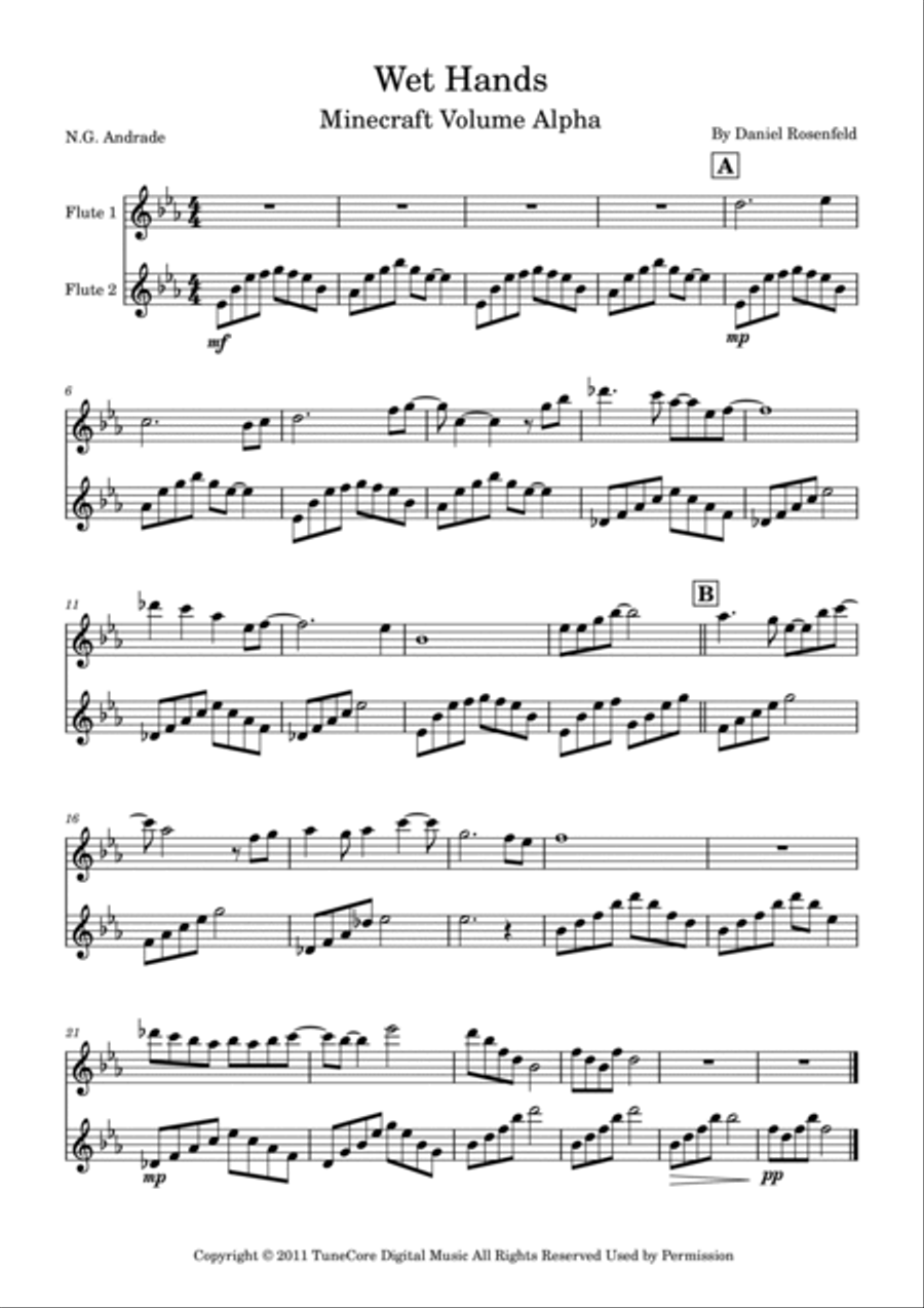 Wet Hands Flute Duet scores gallery preview page 2